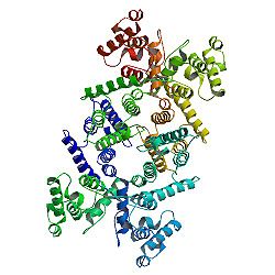 Stem Cells Show Promise For Treating >> Stem Cells Show Promise For Treating Duchenne Muscular Dystrophy Stem Cells Show Promise For Treating >> Stem Cells Show Promise For Treating Duchenne Muscular Dystrophy