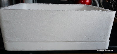 Angie S Garden Diaries