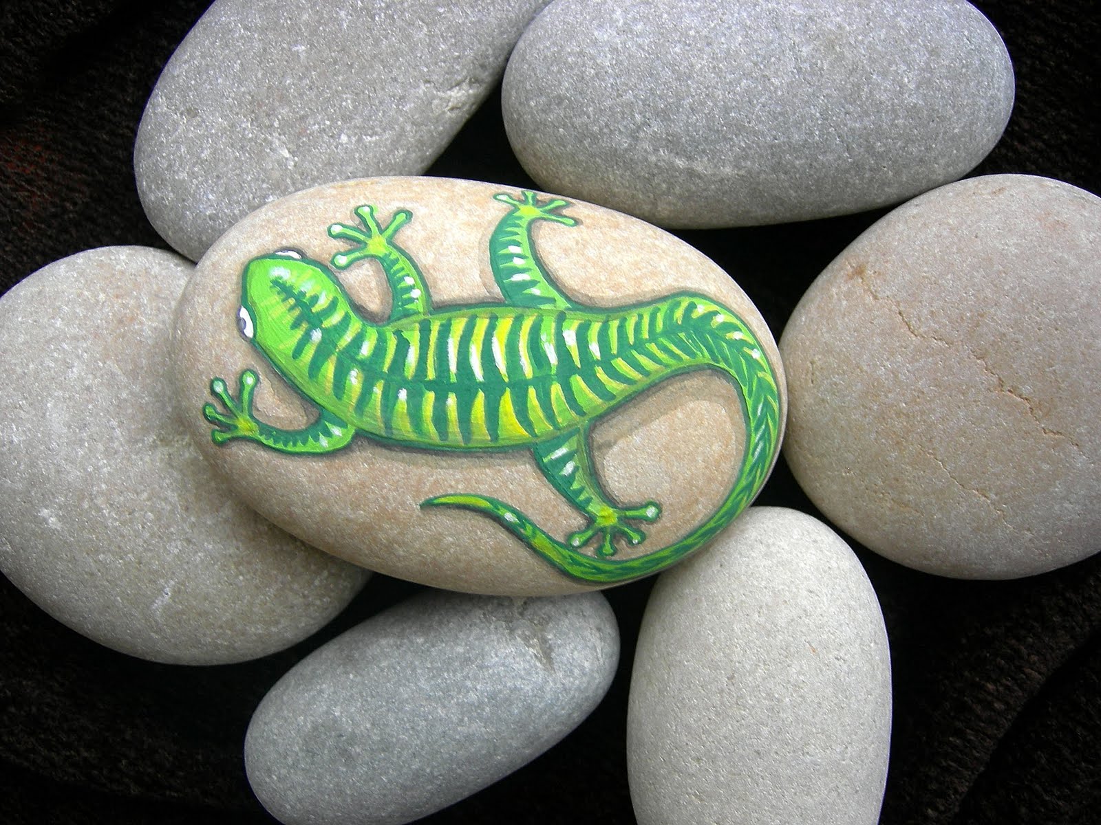 Kedibu Murales y Objetos Decorativos: Piedras pintadas: pez, lagartija