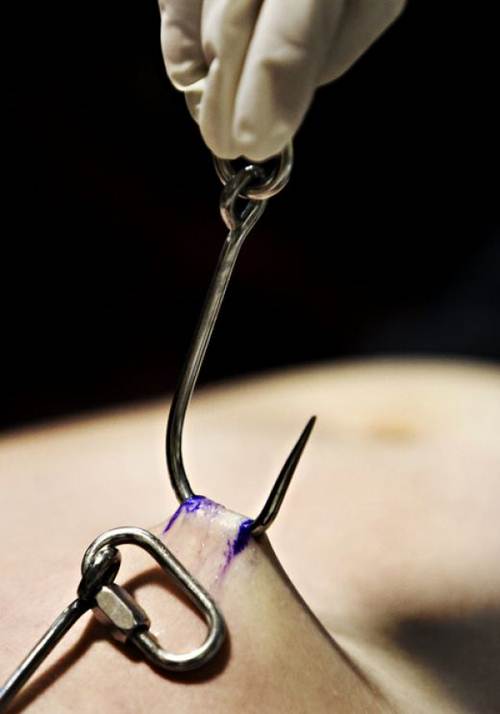 Testicle piercing photos