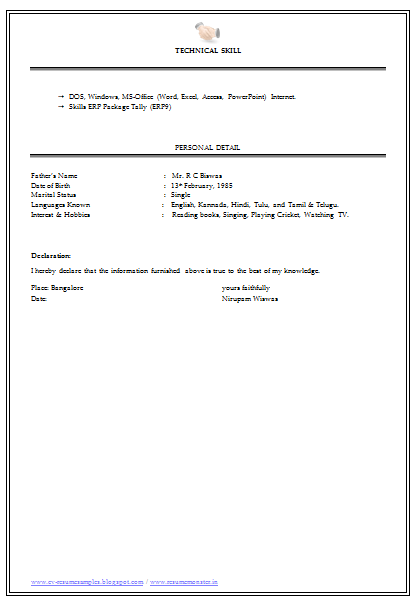 resume format for experienced in ms word