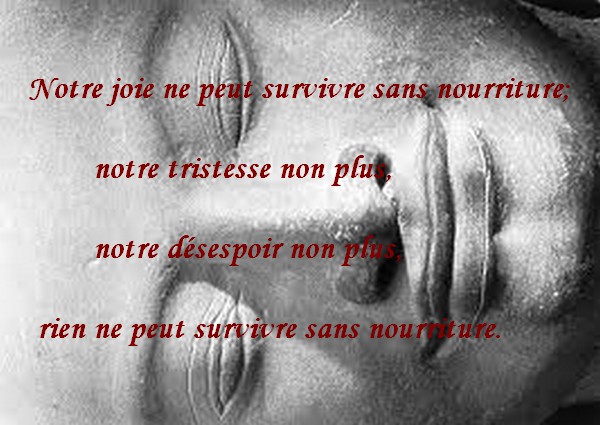 Citation selon notre humeur - Page 2 Joie+tristesse