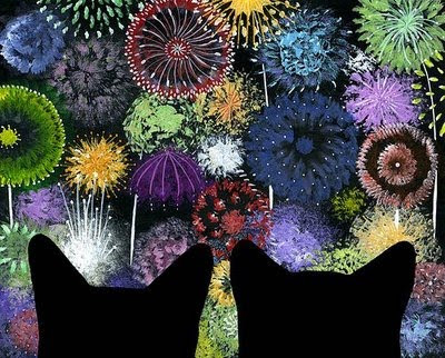 cats & fireworks