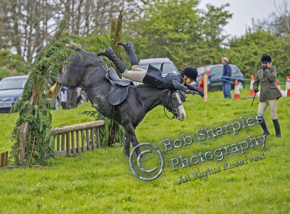 Photography by Bob Sharples Helston Flora Horse Show 2014