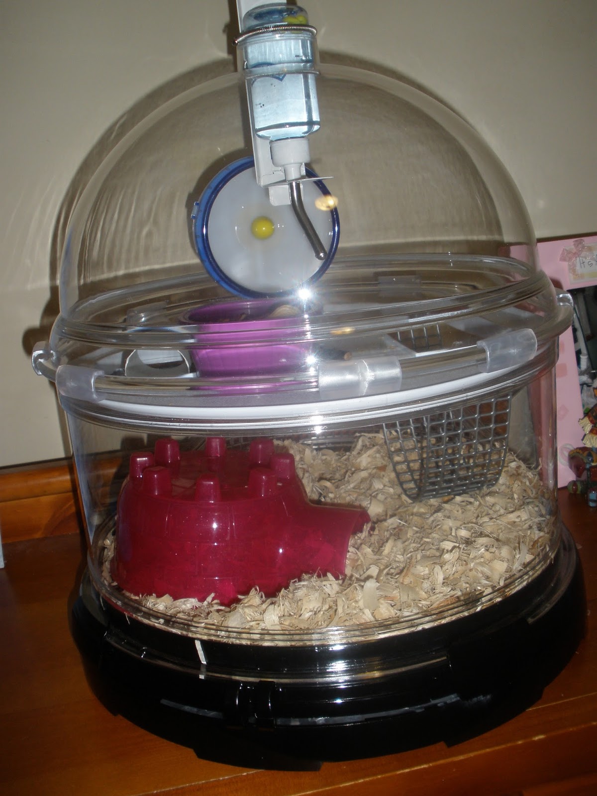 Bio Bubble One Room Schoolhouse