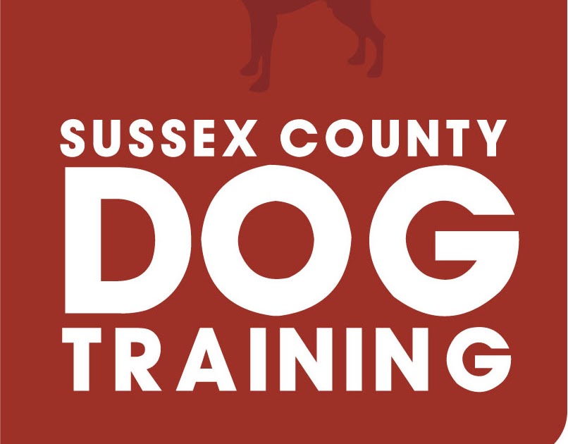 Sussex County Dog Training Chichester Agility Show