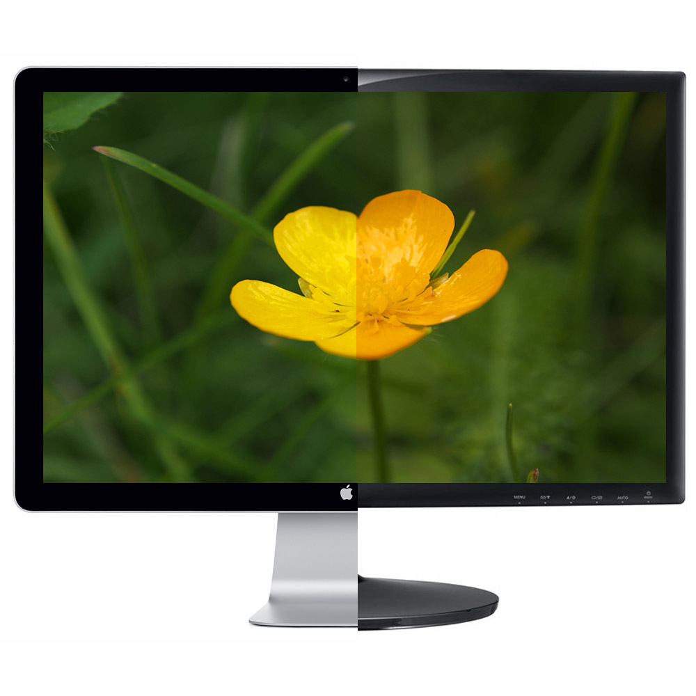 Monitor Calibration, Is It Important? Louis Otto Photography