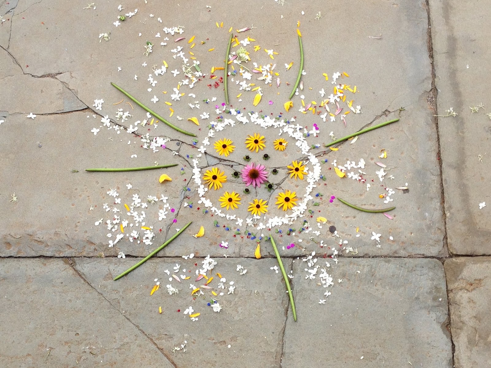 River City Art * Collinsville: Kids Nature Mandalas