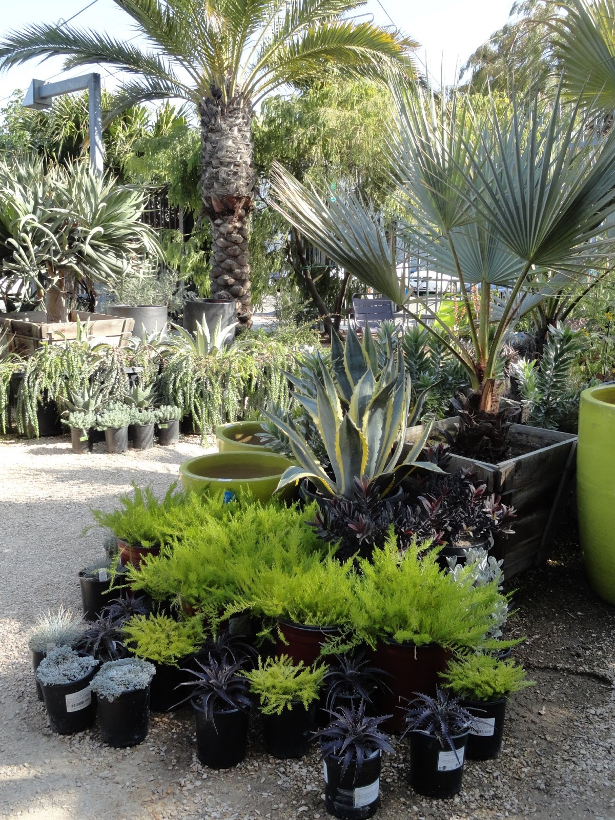 Super Freeze Follow Up