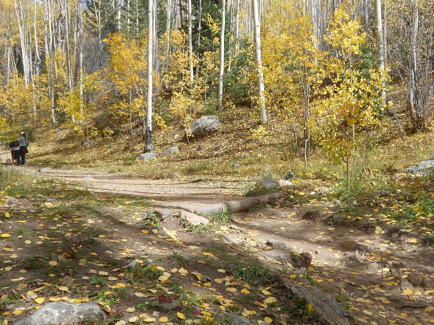 Hiking in New Mexico Western Trips