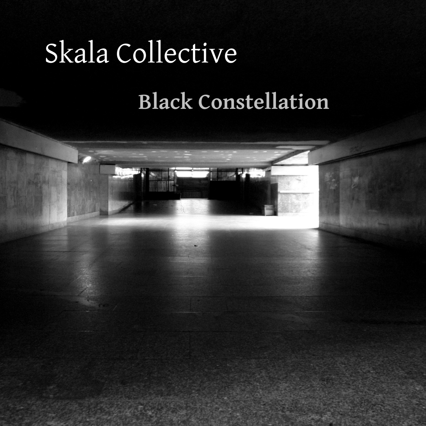 dark noise collective dark noise collective