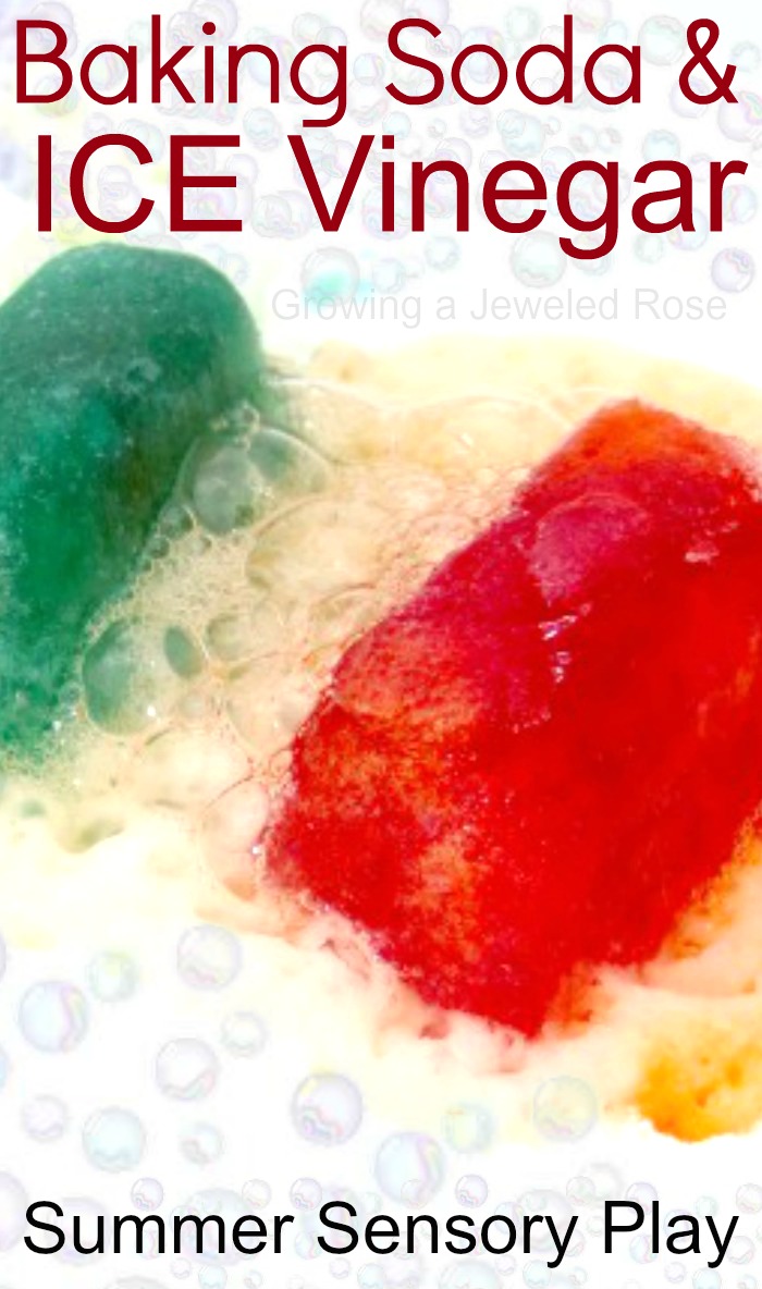 Summer Fun with Baking Soda and Vinegar Growing A Jeweled Rose