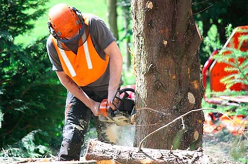 4 Crunchy Things That Just Make Me Gag