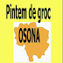 18 d'octubre: PINTEM OSONA DE GROC!