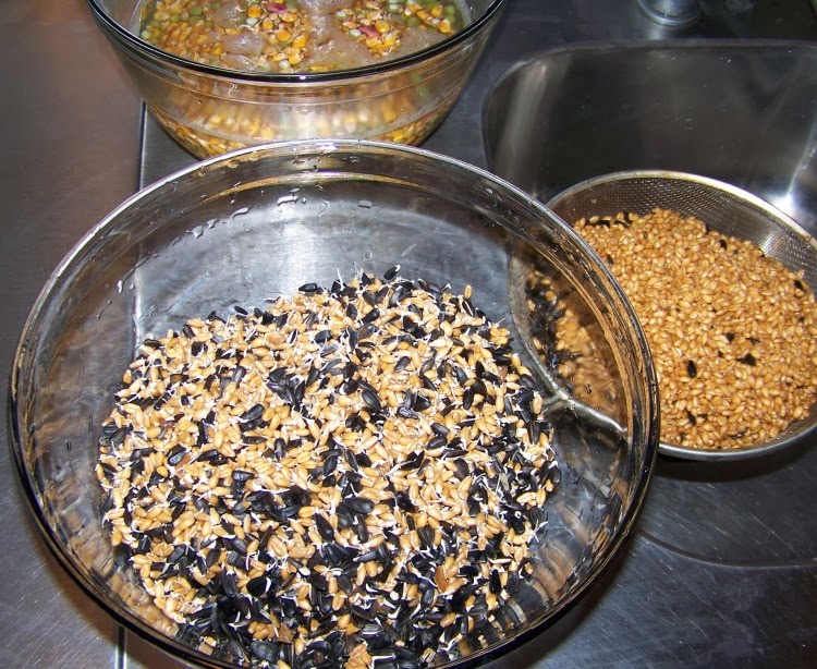 Foods By God Soyfree Homemade Chicken Feed