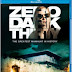 Zero Dark Thirty (2012) movie download in HD Quality