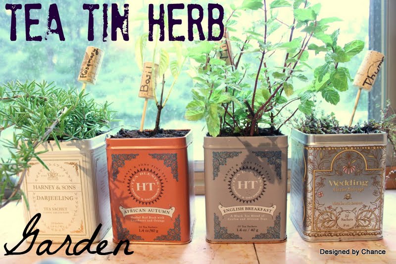 Designed By Chance Tea Tin Herb Garden Tea Tin Herb Garden
