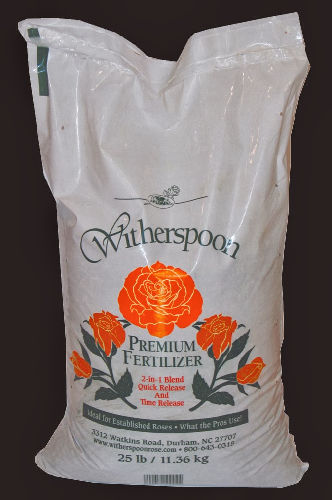 Coming Up Roses Expert Rose Advice from Witherspoon Rose Culture What's Beneath Your Feet?