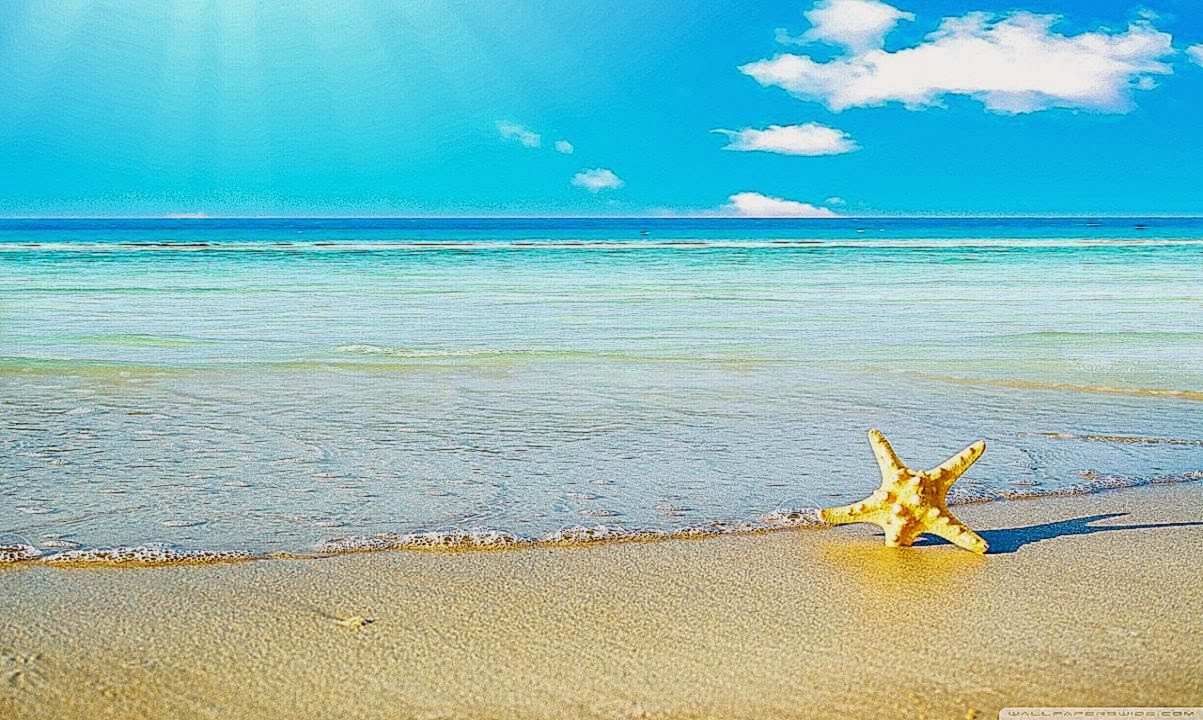 Starfish On The Beach HD desktop wallpaper High Definition Starfish On The Beach HD desktop wallpaper High Definition