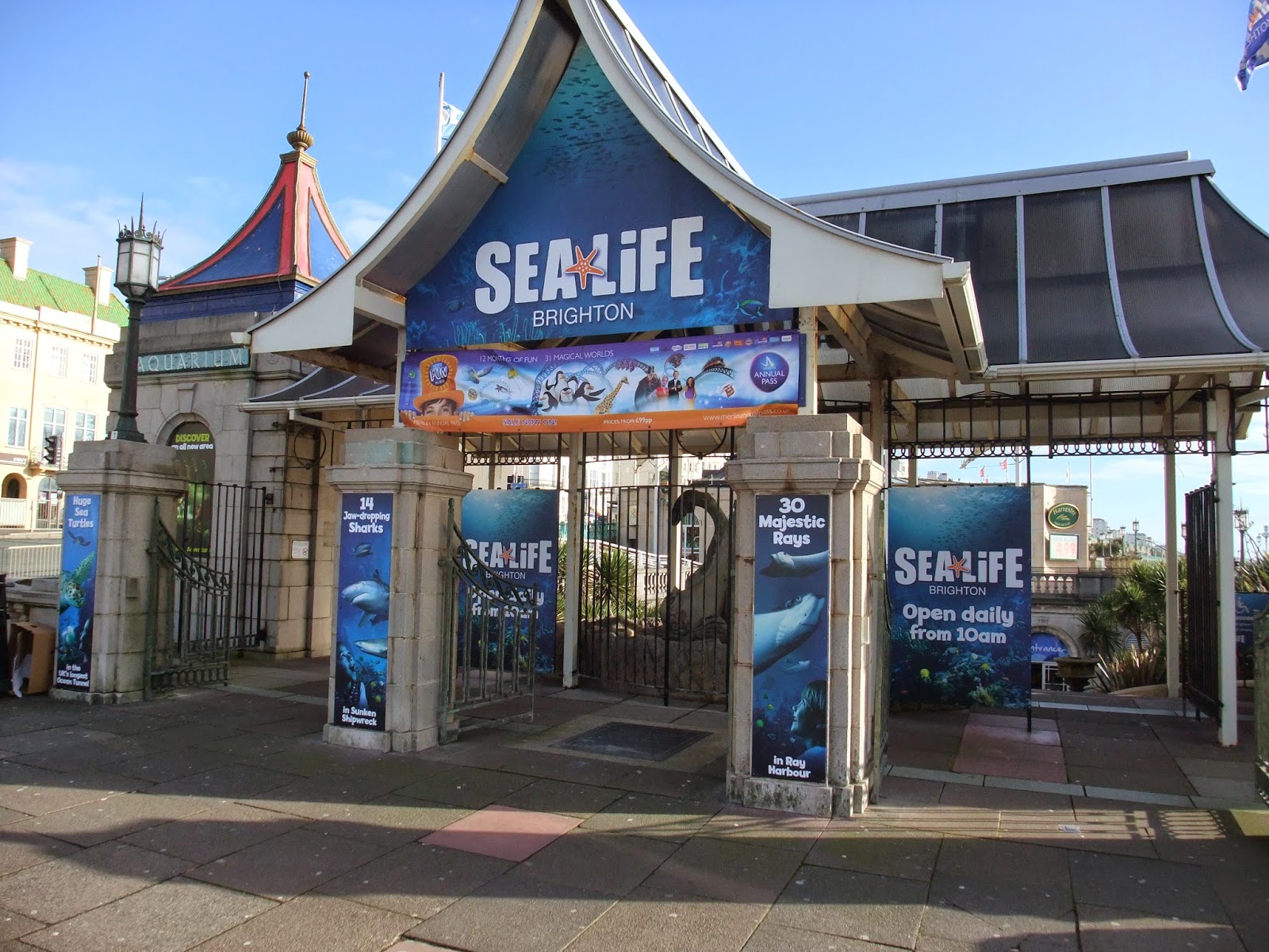 The Accidental Home Educator Trip to Sea Life Brighton
