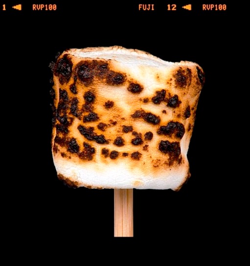 Roasted-Marshmallow_EvanAmos_CC.jpg