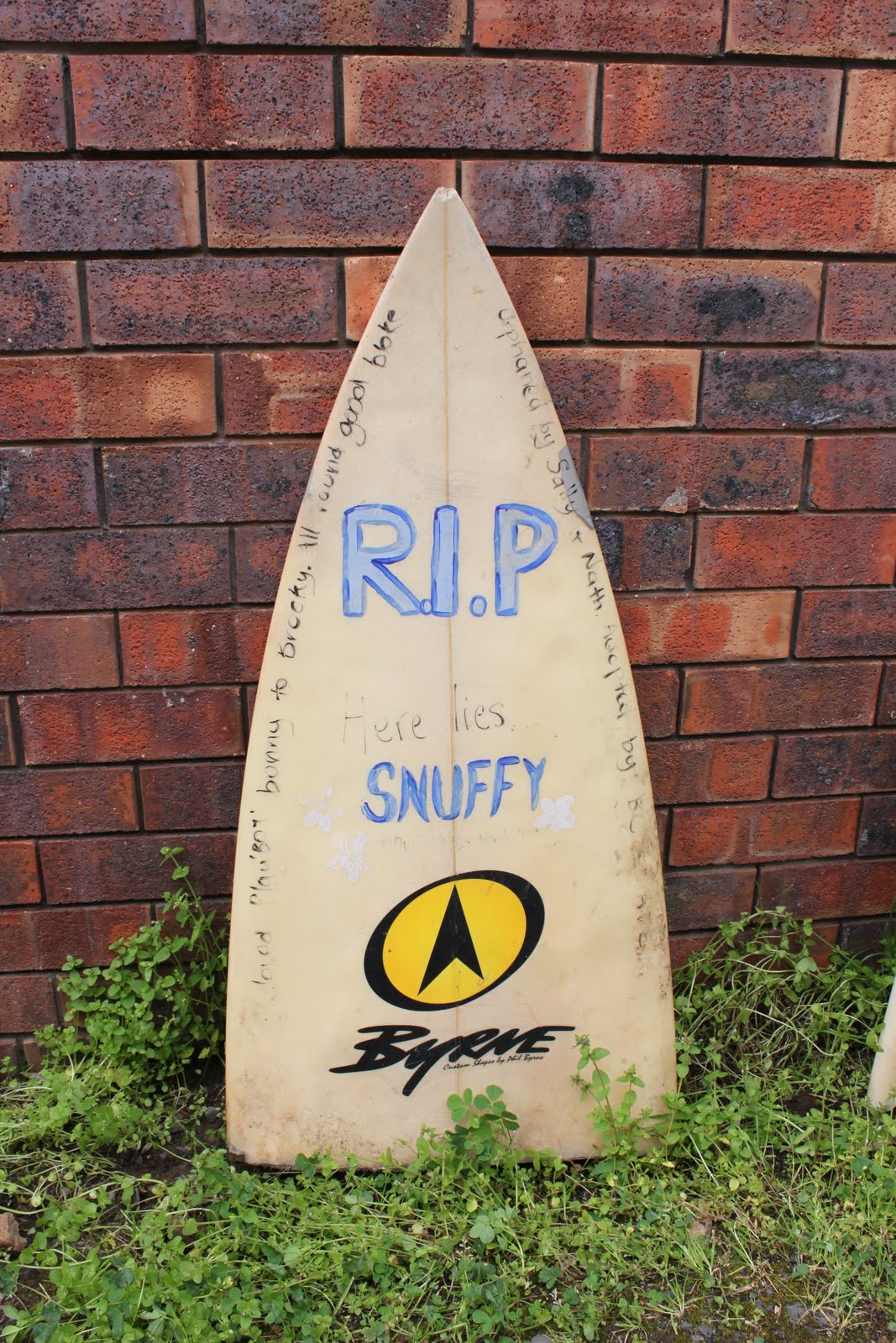 Rip Bunny