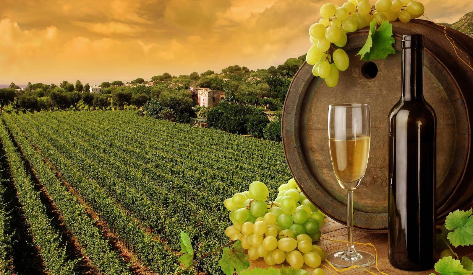 Five Best Wineries In India For the DesiTraveler Antilog Vacations
