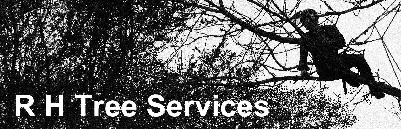 RH Tree Services