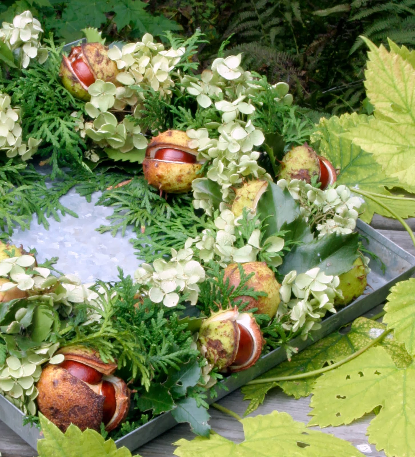 Ãarnas trädgÃ¥rdsplanering: thuja hortensia kastanjer = höstkrans