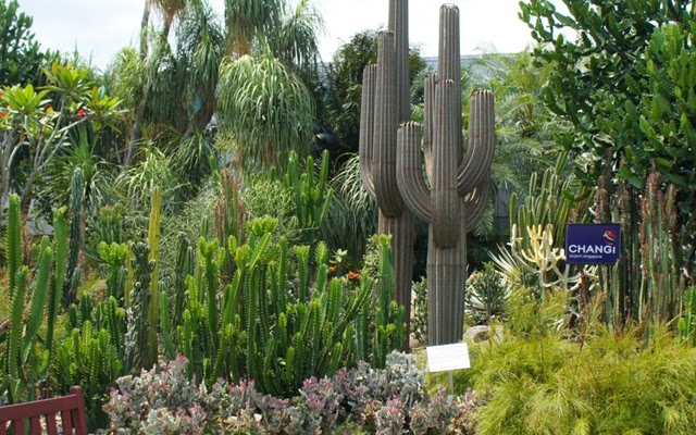 Secret Mountain Laboratory May 2010