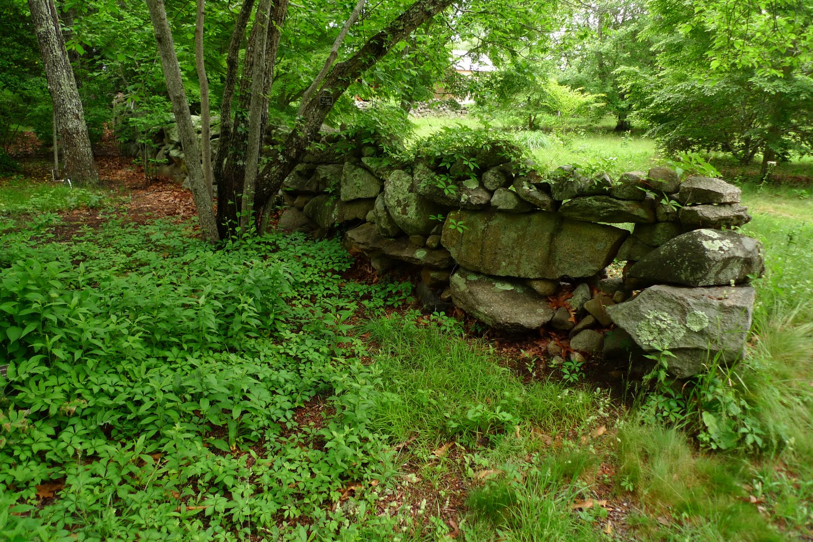 Jeffrey Bale's World of Gardens The Chilmark Walls, Martha's Vineyard