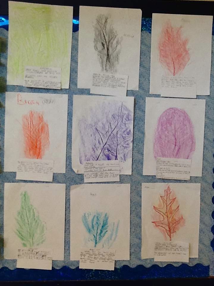 Third Grade Thinkers "Fossil" rubbings