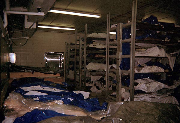 Cruise Ship Morgue