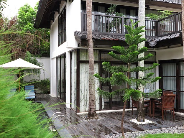 Simple Living In Nancy Growing Japanese Bamboo Plants Dracaena