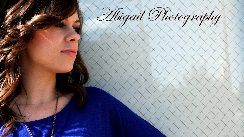 Abigail Photography