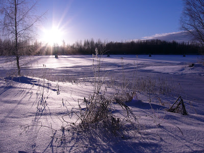 http://1.bp.blogspot.com/-wmT7rTGNrlA/T-zYNuKSGII/AAAAAAAAA6g/PsMQwlJLCKQ/s1600/free+nature+wallpapers+-+winter.jpg
