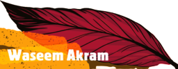 Waseem Akram | Content Writer And Blogger