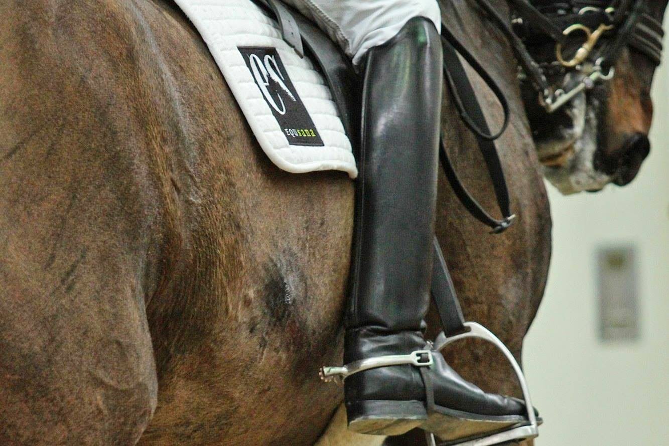 Dressage Enthusiast With A Spin On It Andreas Helgstrand and Akeem