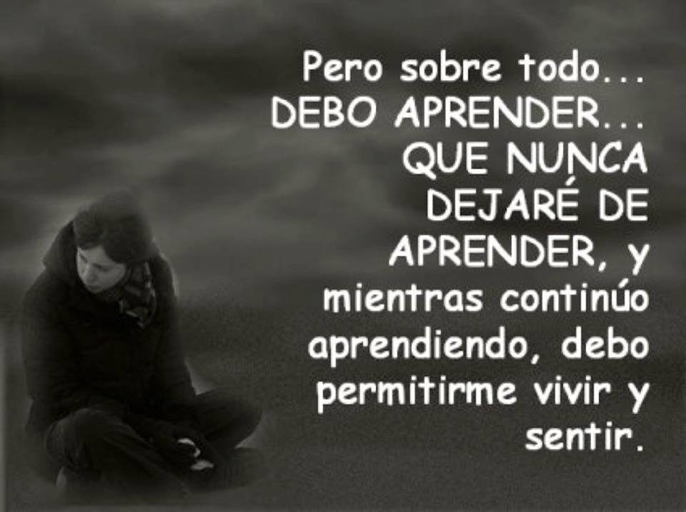 Aprender todo sobre forex