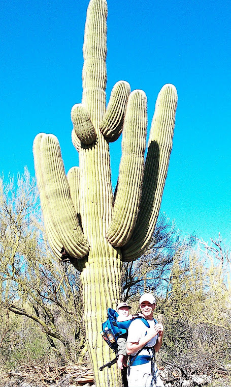 Cactus greatness in Tucson