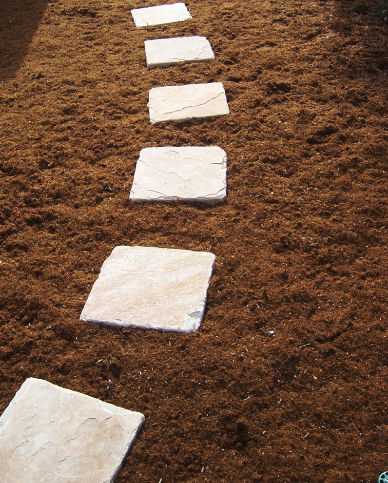 The 2 Minute Gardener Photo Stepping Stones in Gorilla Hair Mulch
