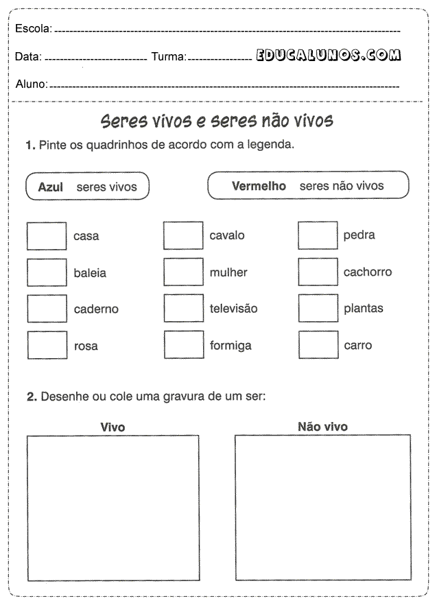 Desenhe e cole gravuras de um ser vivo e um não-vivo