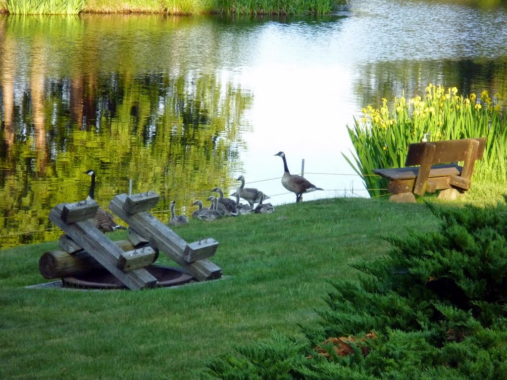 The Slow Life Lost Lake on Camano Island