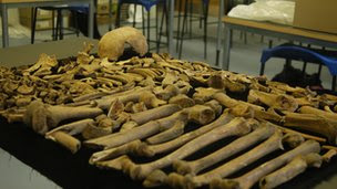 dating human bones dating human bones