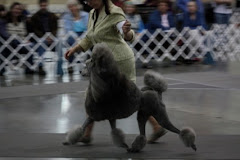 Deborah and Sparkle in Spokane, Washington