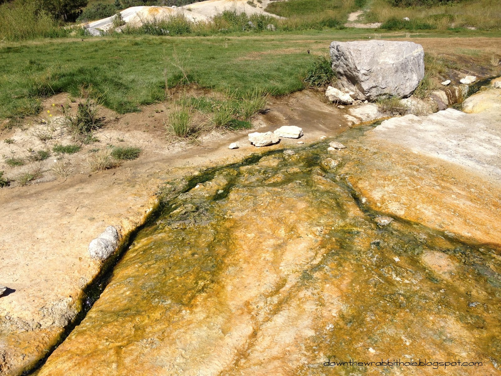 Down the Wrabbit Hole The Travel Bucket List Soak in a True Natural
