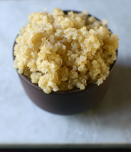 can dogs quinoa and bougie cooking quinoa can dogs quinoa and bougie cooking quinoa