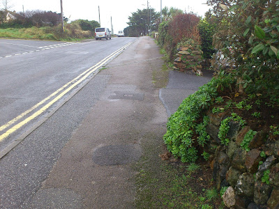 Pile Under Vegetation, Bottom Right