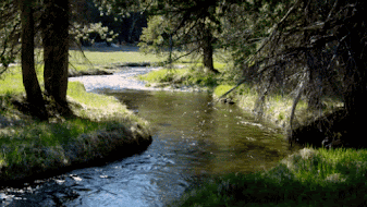 There is nothing better than Nature as a means for upliftment of the LIFE