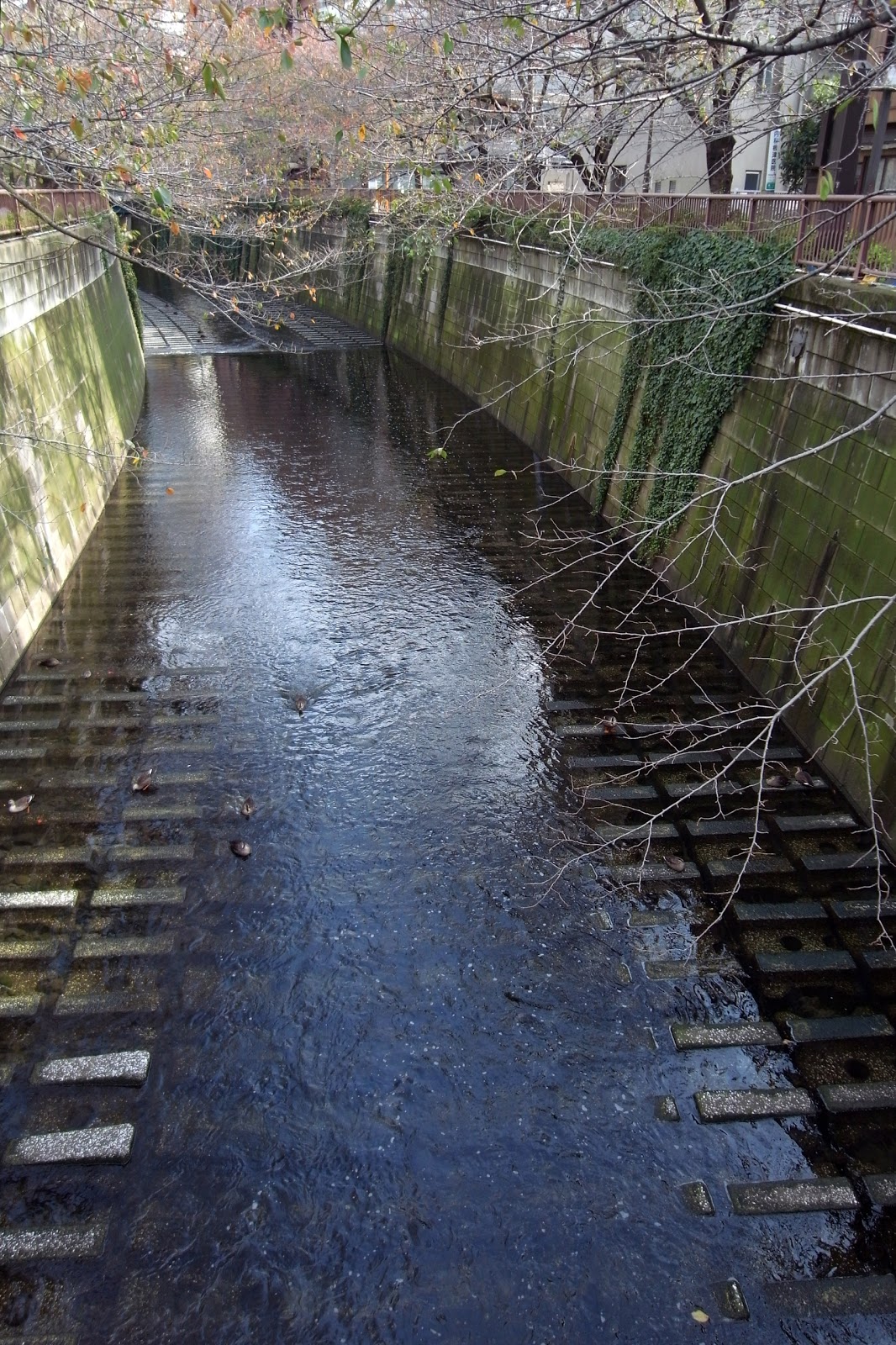 岡田公彦建築設計事務所 NOTE 目黒川緑道
